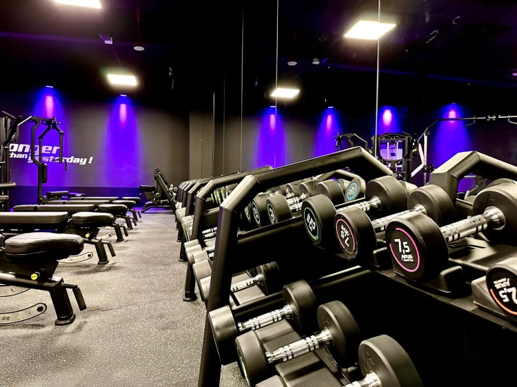 Dumbbell rack (5 pairs) UR-S003-1 - UpForm