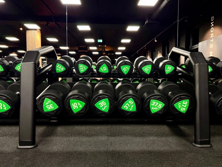 Dumbbell rack (10 pairs) UR-S003-2 - UpForm