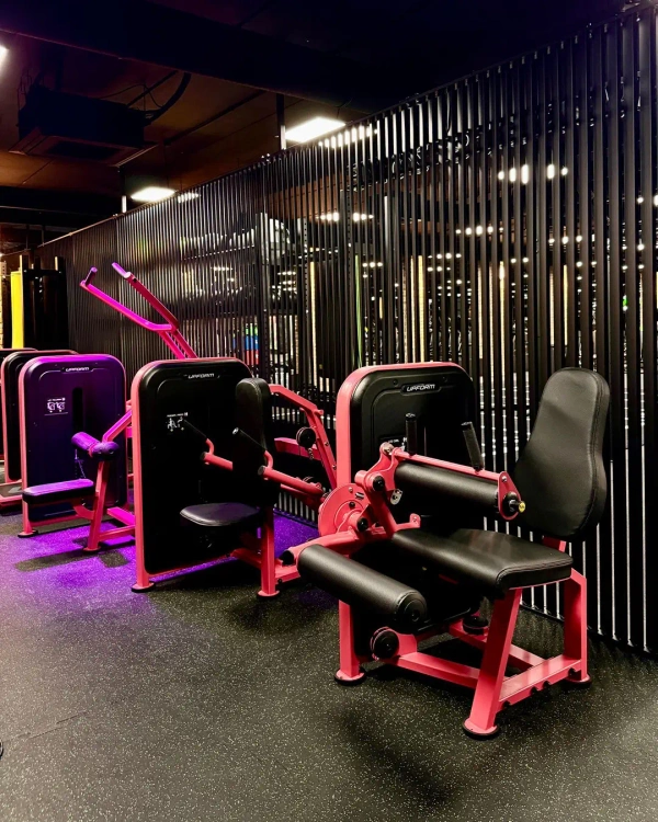 Seated Leg Curl US-U010 - UpForm