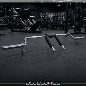 Olympic curl bar for squats - UpForm