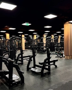 Olympic Flat Bench UR-L002 - UpForm