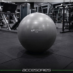 75 cm graphite gym ball UpForm