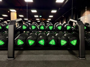 Dumbbell rack (10 pairs) UR-S003-2 - UpForm